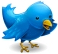 Tweet This tweet-this-small